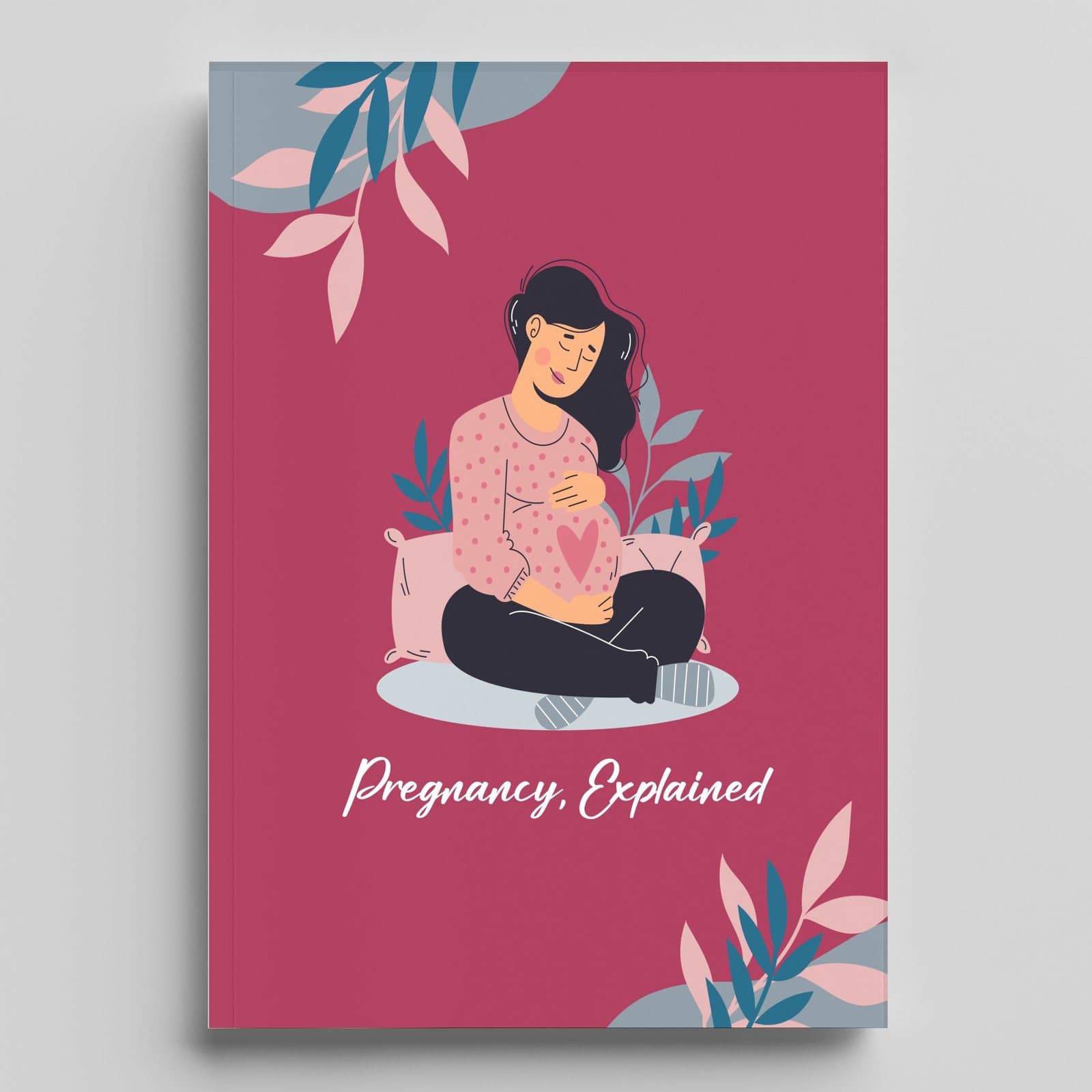 Pregnancy, Explained cover — Skitbooks
